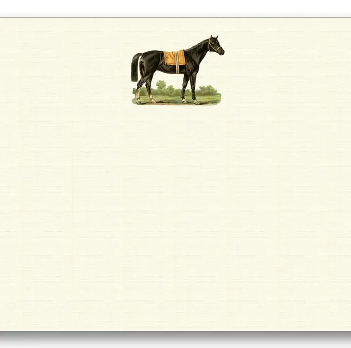 NOTE CARD HORSE ON TOP
