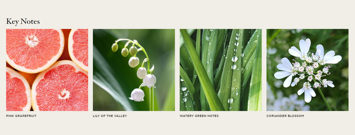 REED DIFFUSER GRAPEFRUIT #27500