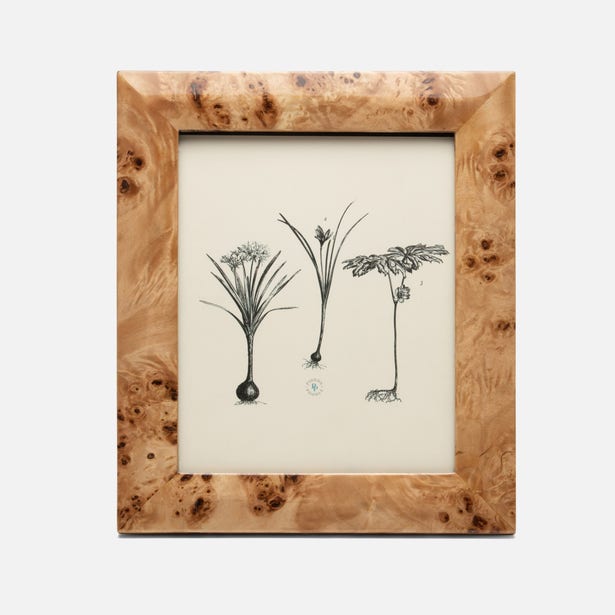 FRAME BURL MAPLE VENEER