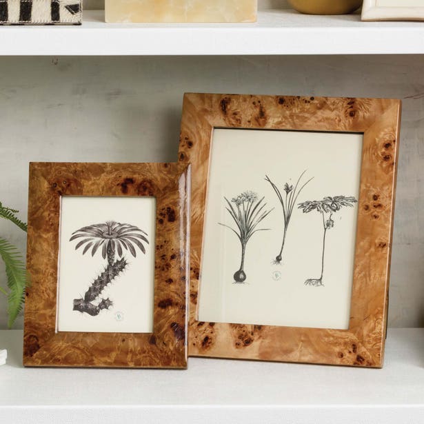 FRAME BURL MAPLE VENEER