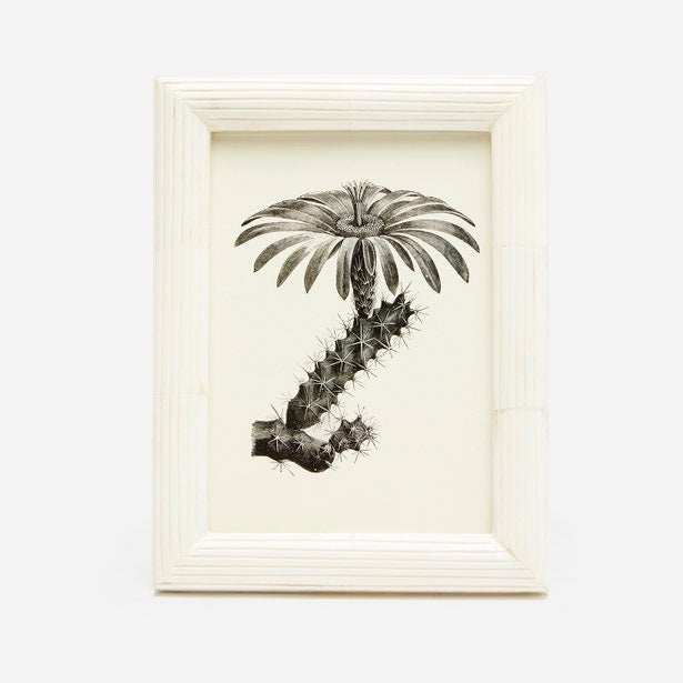 FRAME NATURAL BONE
