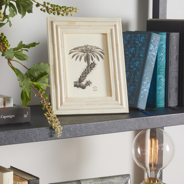 FRAME NATURAL BONE LAYERED