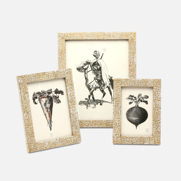 FRAME GOLD/WHITE LACQUERED EGGSHELL