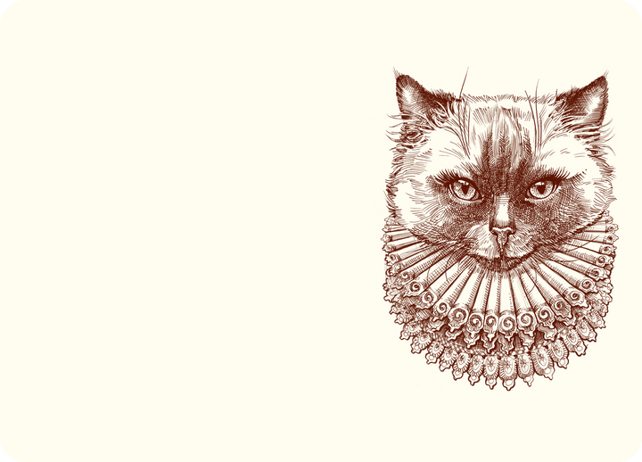 NOTES MADAME KITTY A6 #78740