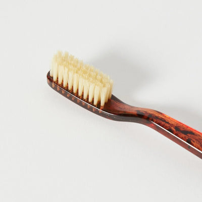 TOOTHBRUSH NATURAL BRISTLE TORTOISE