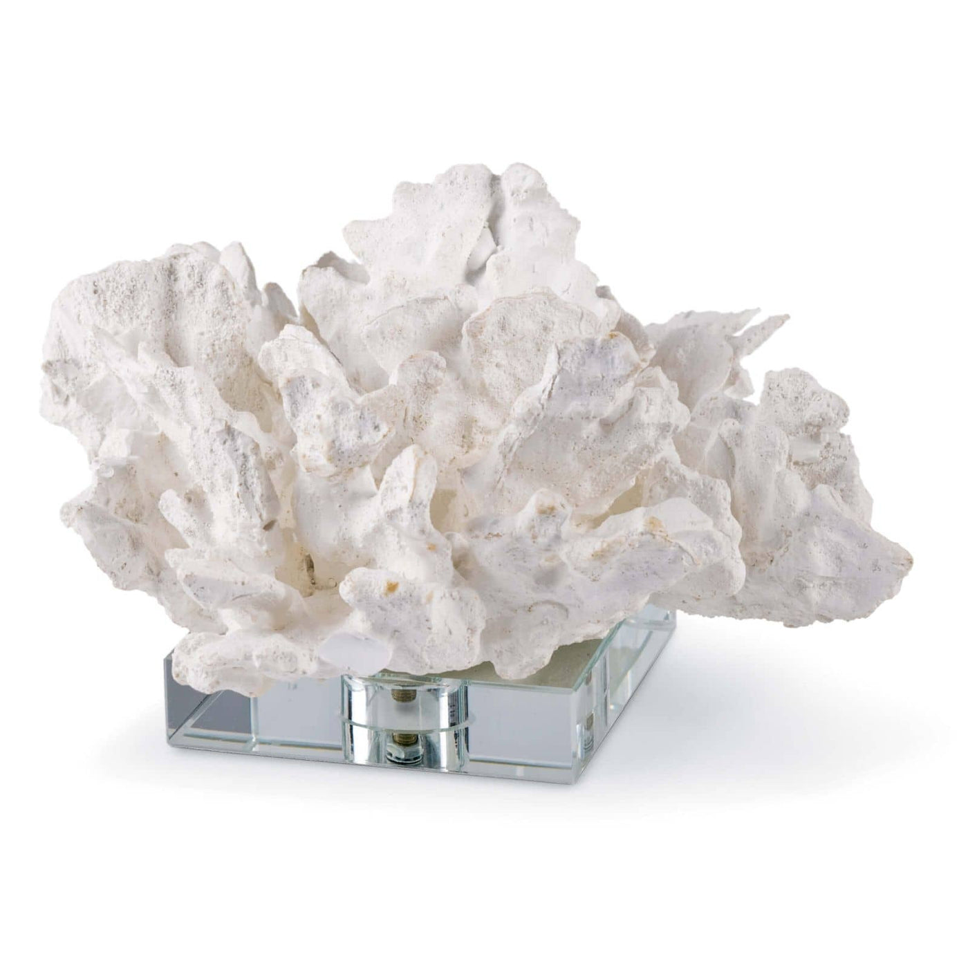 CABBAGE CORAL ON CRYSTAL BASE