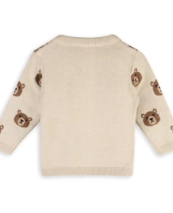 CARDIGAN BROWN BEAR STONE