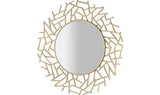 FRET MIRROR