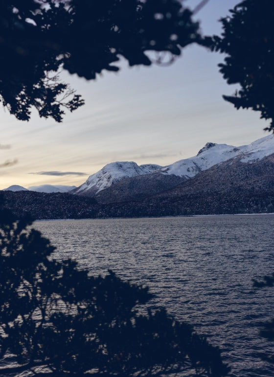 BOOK "MOUNTAIN HOUSE" #70433