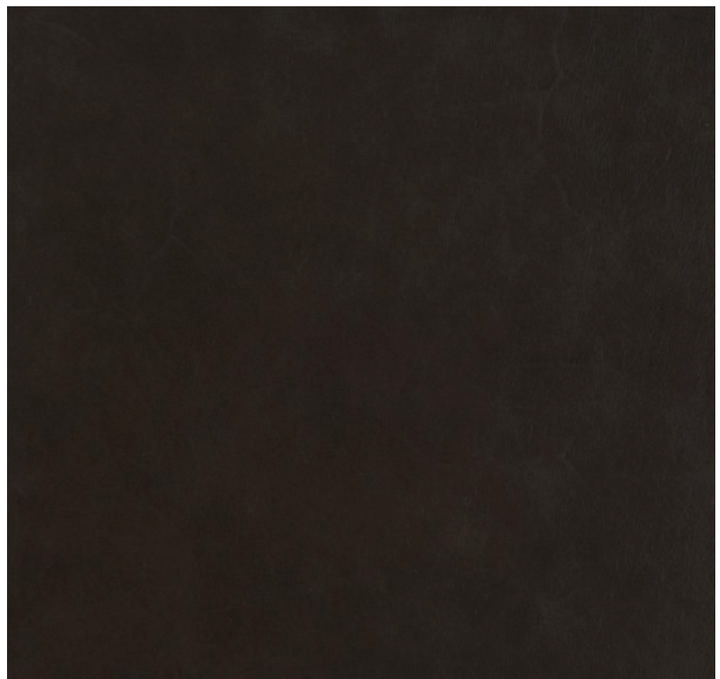 CHAIR IRVING IN LEATHER SUNDANCE SHADOW