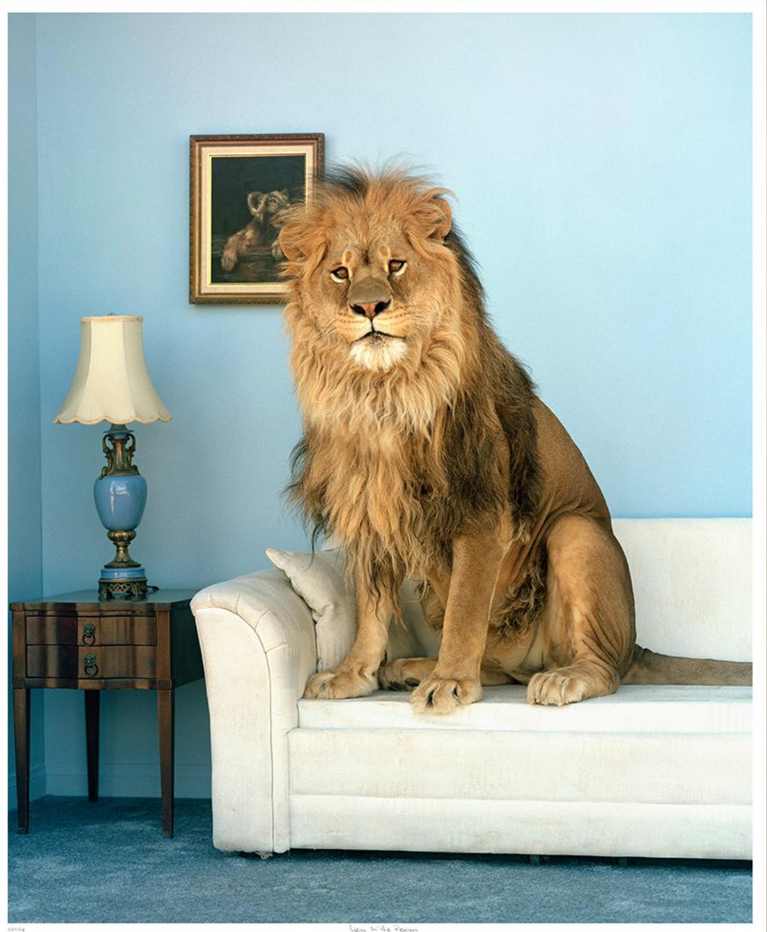 ART LION IN THE ROOM 34X41