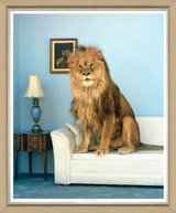 ART LION IN THE ROOM B&W IMAGE 1 43"X50"