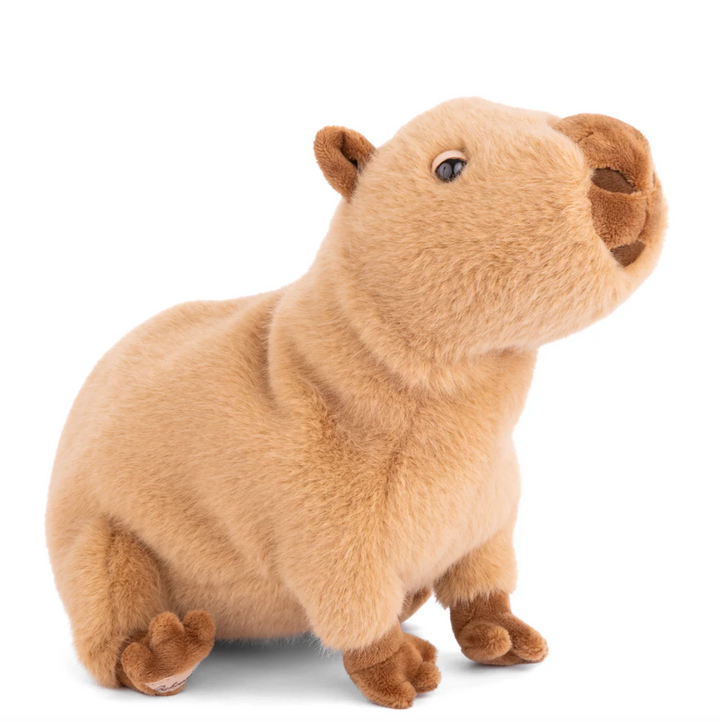 TOY PLUSH CAPYBARA