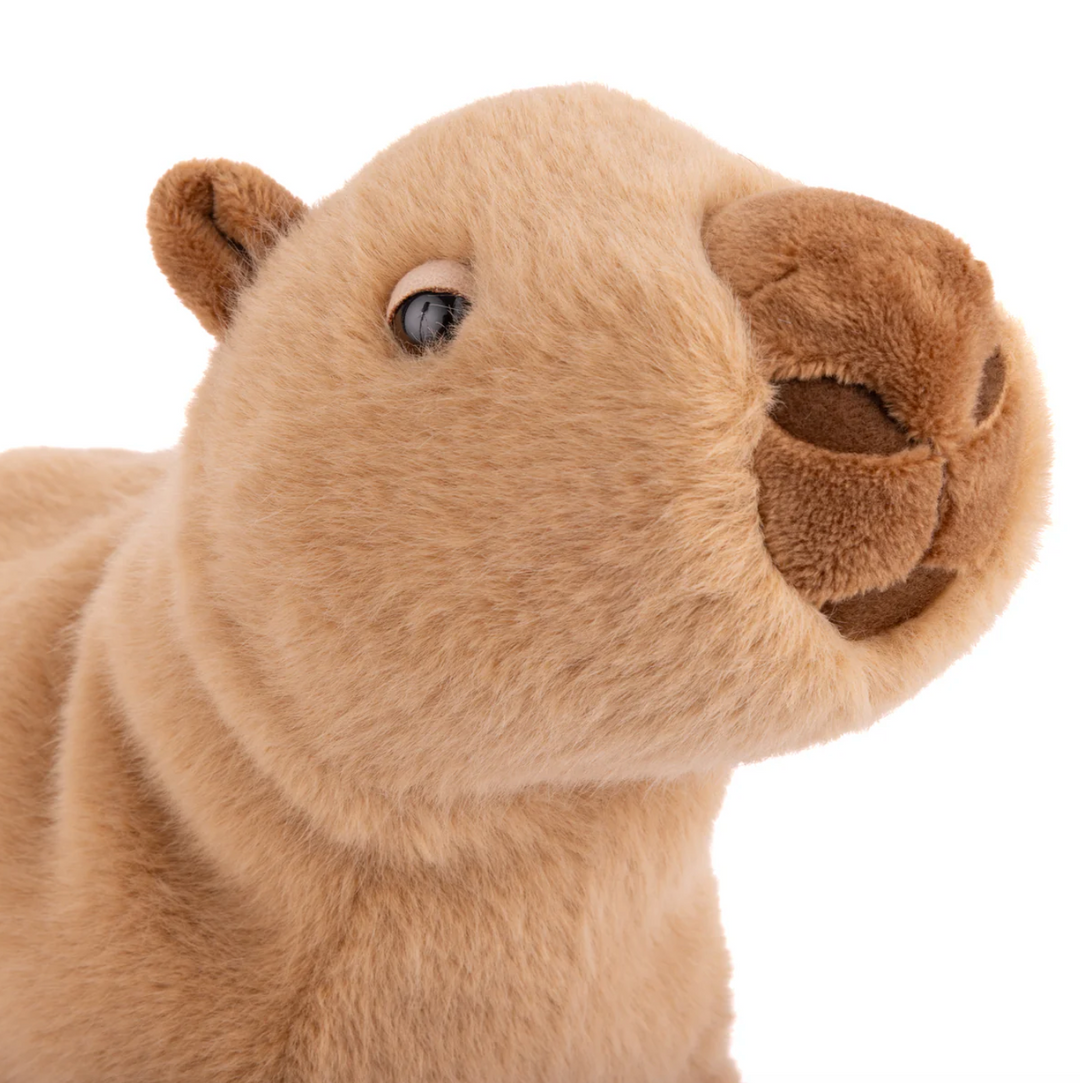 TOY PLUSH CAPYBARA