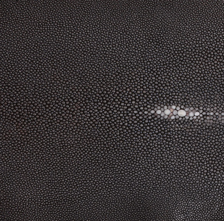 ICE SCOOP W/ SHAGREEN INLAY