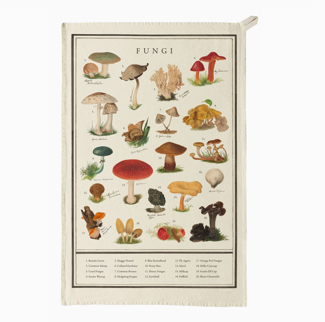 TOWEL TEA COTTON FUNGI