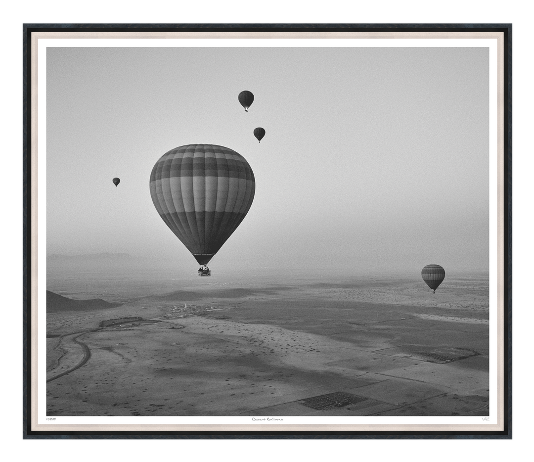 ART DESERT BALLONS 49X42