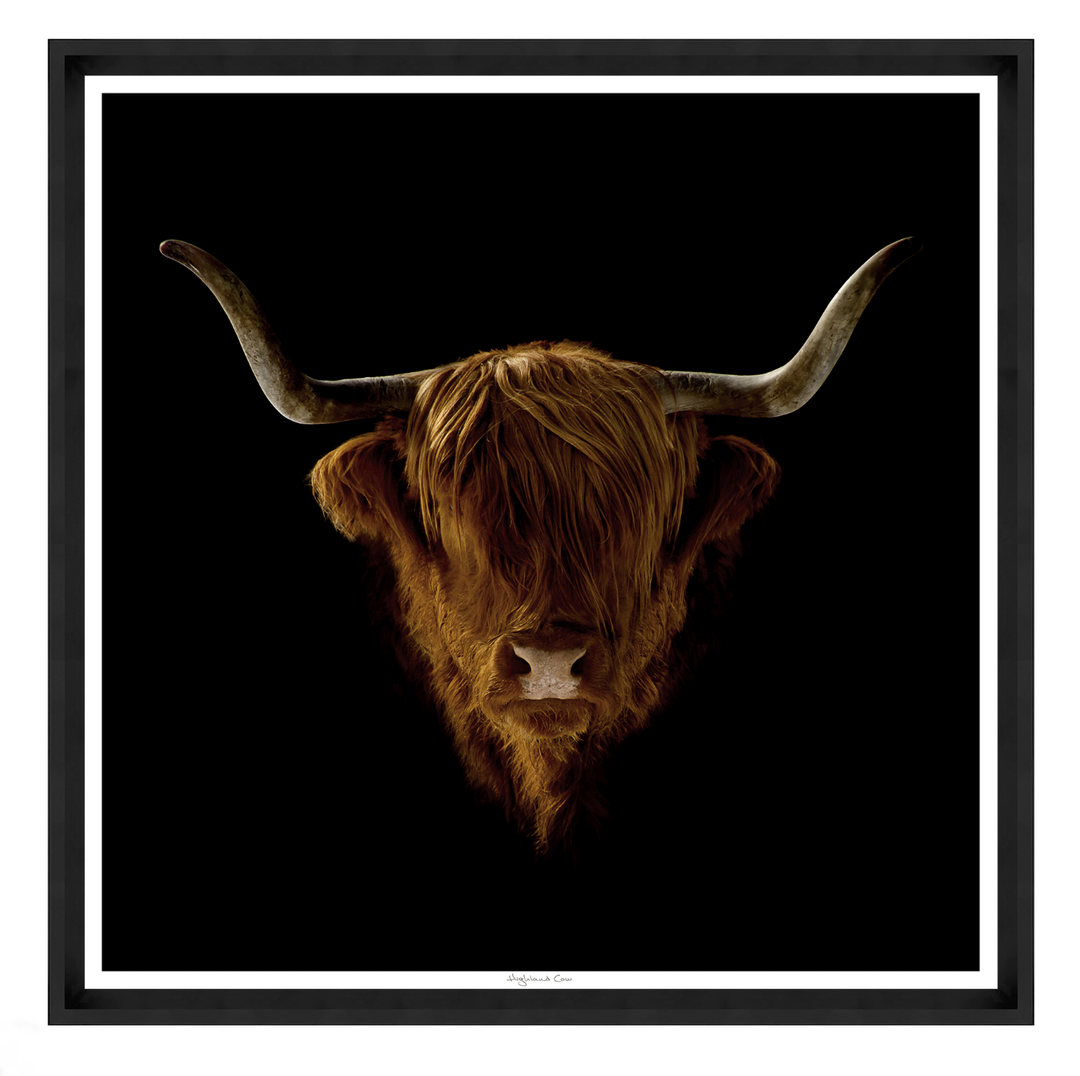 ART COW 35X35