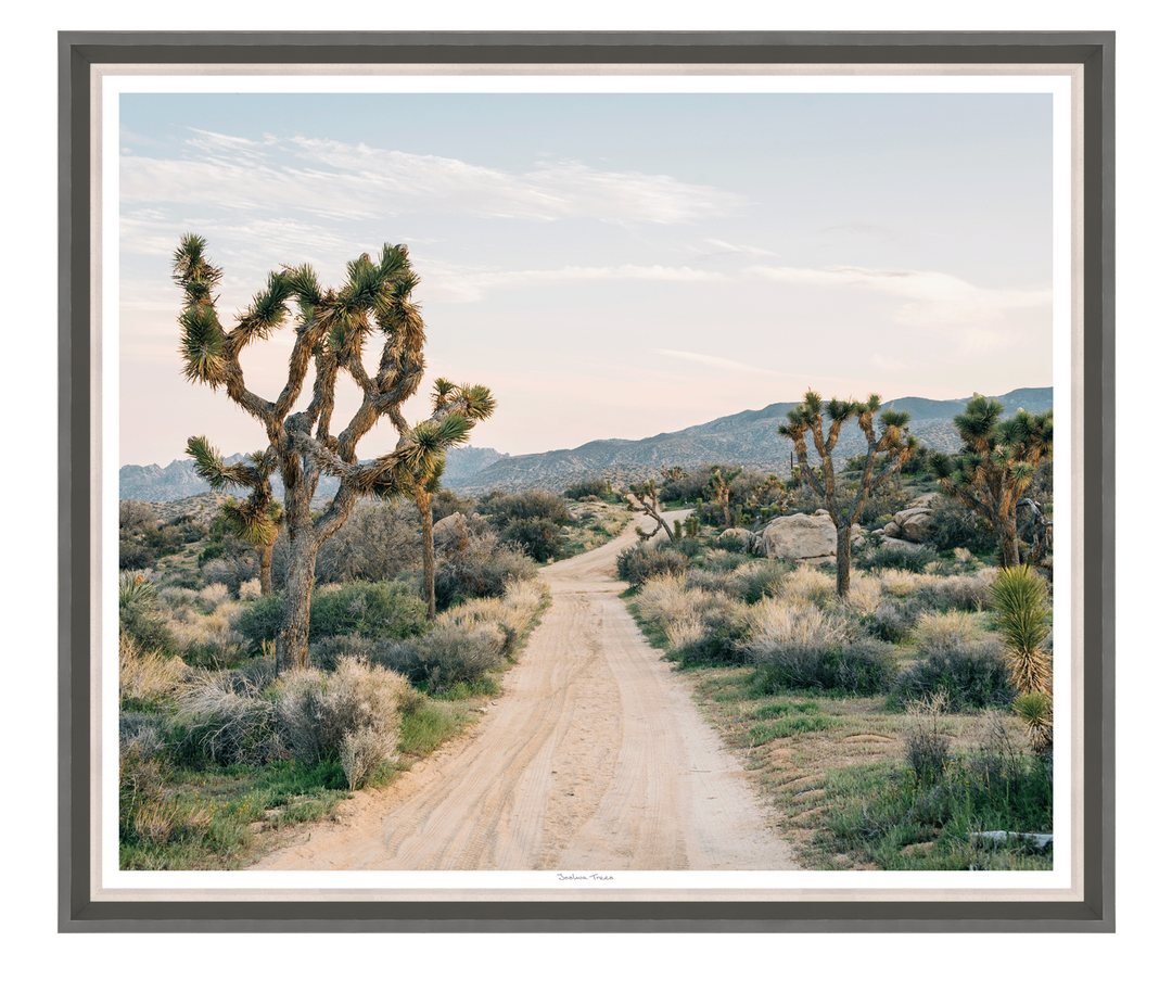 ART JOSHUA TREES 50X43