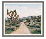 ART JOSHUA TREES 50X43