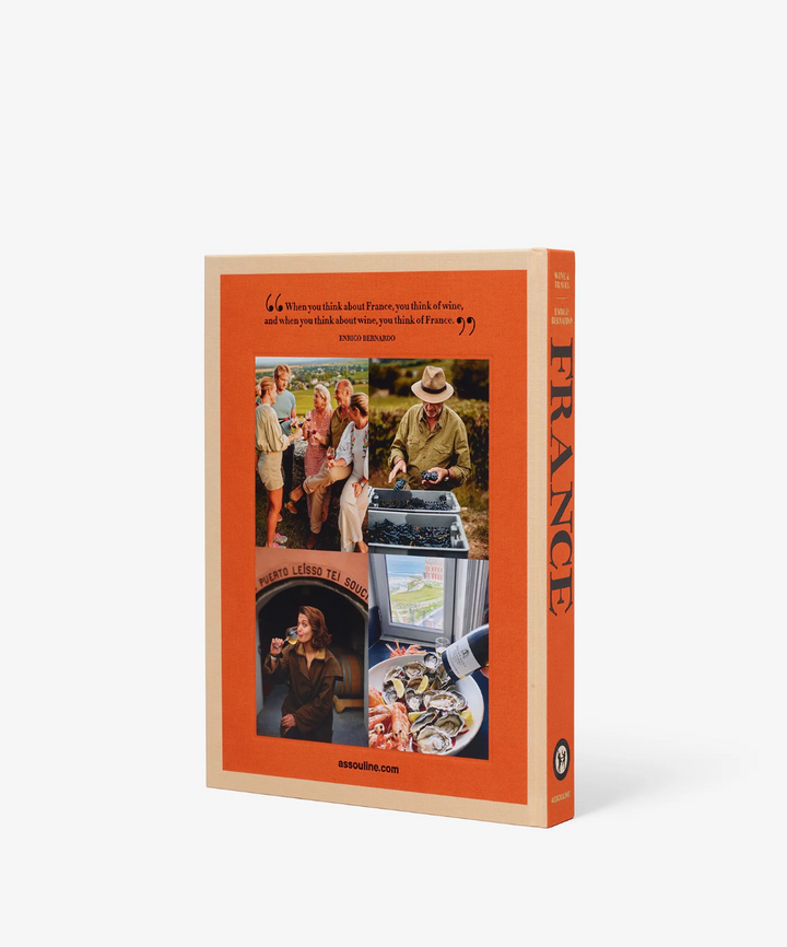 BOOK "WINE & TRAVEL FRANCE"