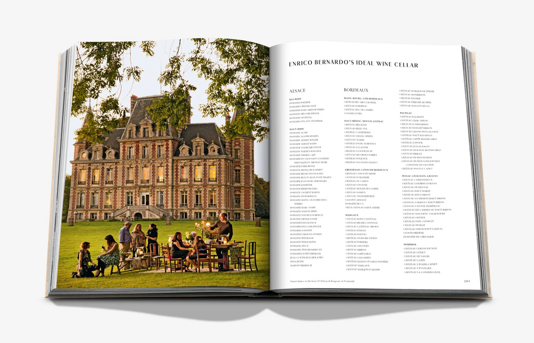 BOOK "WINE & TRAVEL FRANCE"