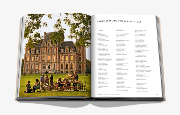 BOOK "WINE & TRAVEL FRANCE"