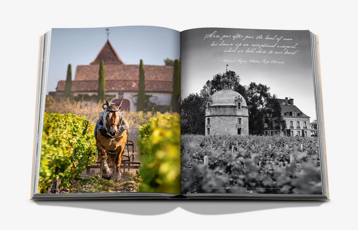 BOOK "WINE & TRAVEL FRANCE"