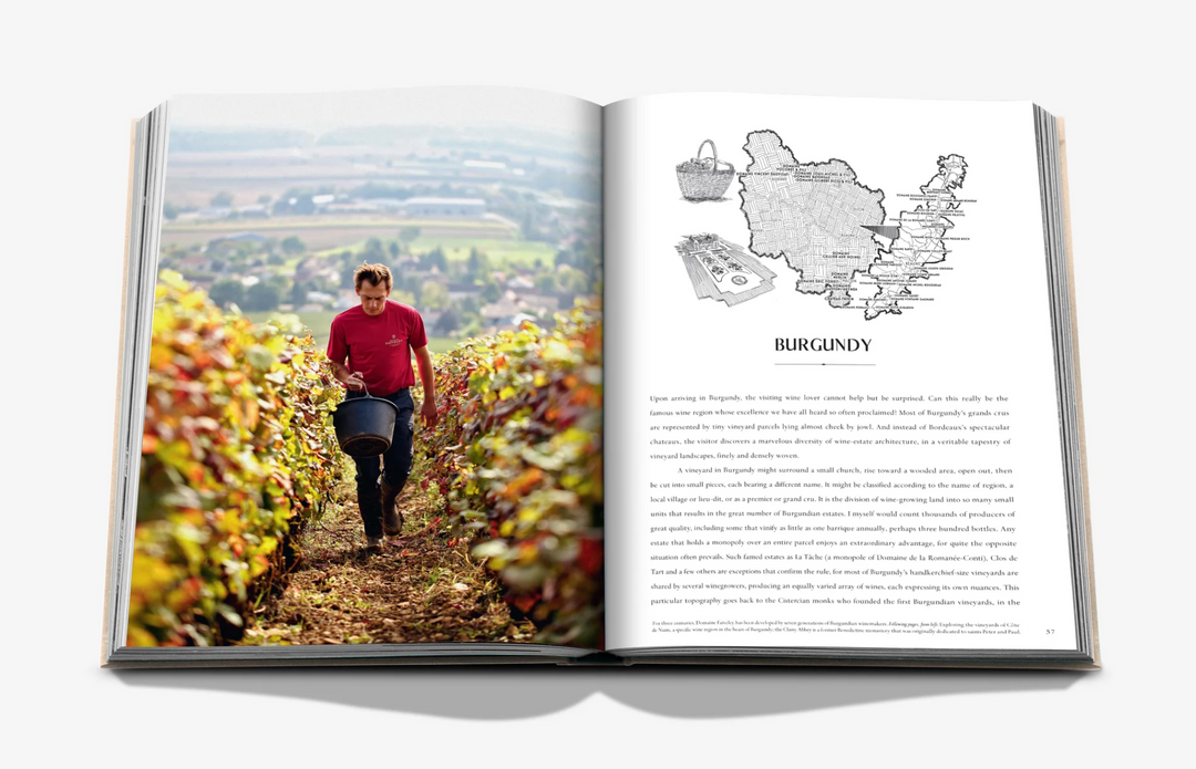 BOOK "WINE & TRAVEL FRANCE"
