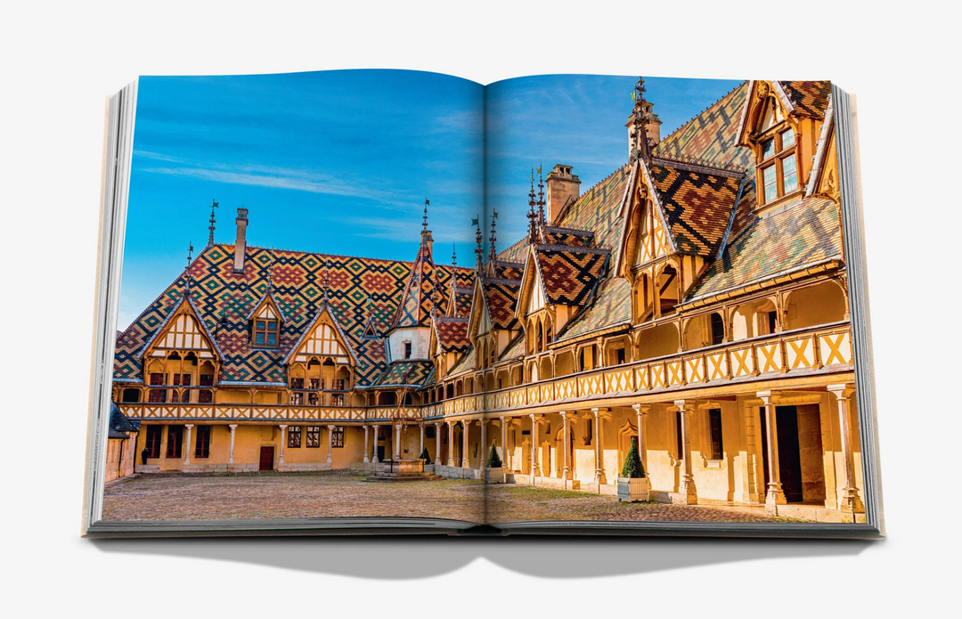 BOOK "WINE & TRAVEL FRANCE"