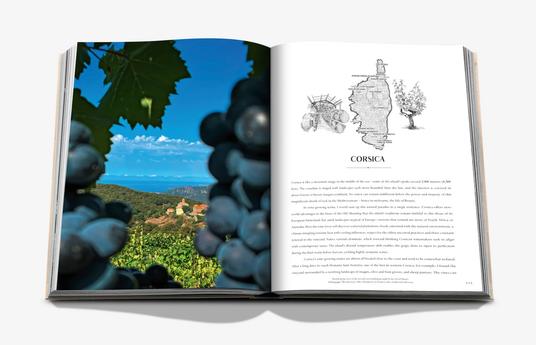 BOOK "WINE & TRAVEL FRANCE"