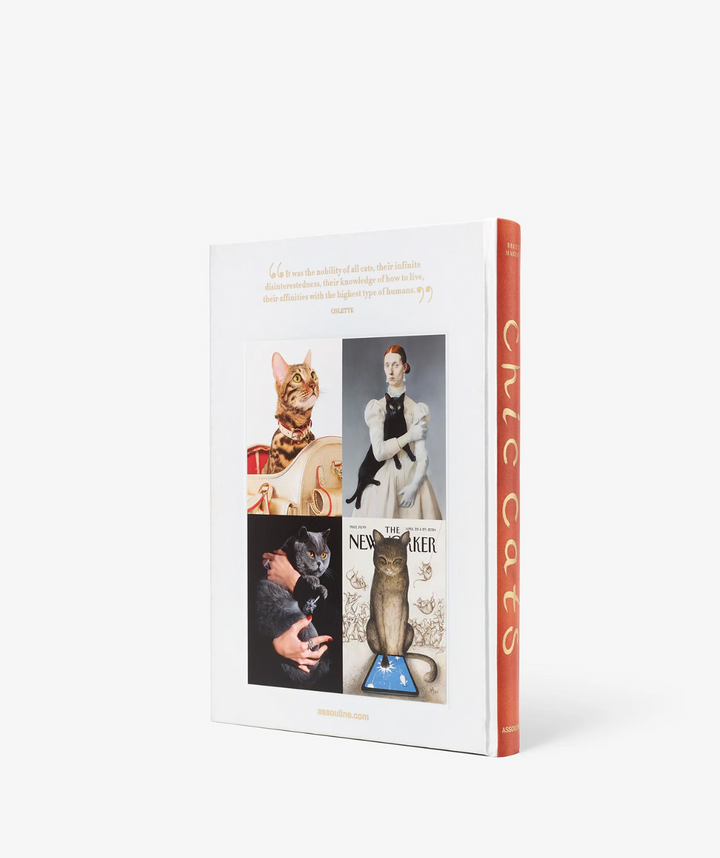 BOOK "CHIC CATS"