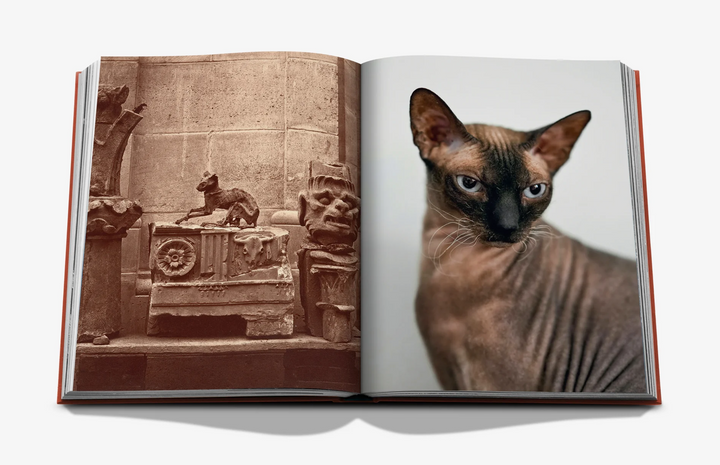 BOOK "CHIC CATS"