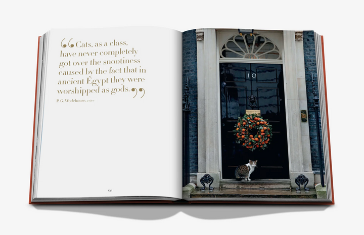 BOOK "CHIC CATS"