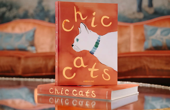 BOOK "CHIC CATS"