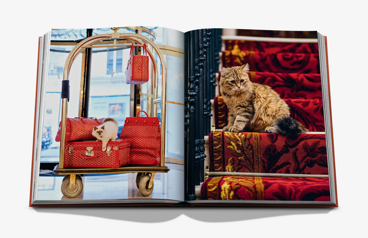 BOOK "CHIC CATS"