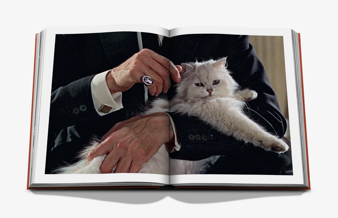 BOOK "CHIC CATS"