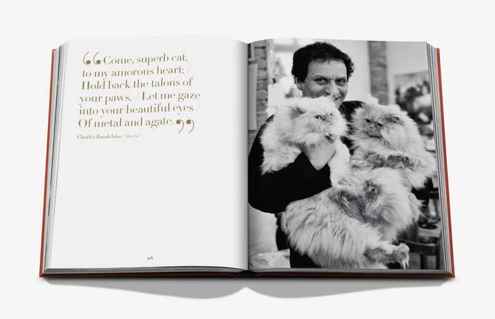 BOOK "CHIC CATS"