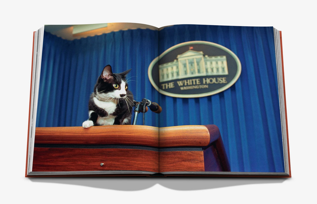 BOOK "CHIC CATS"