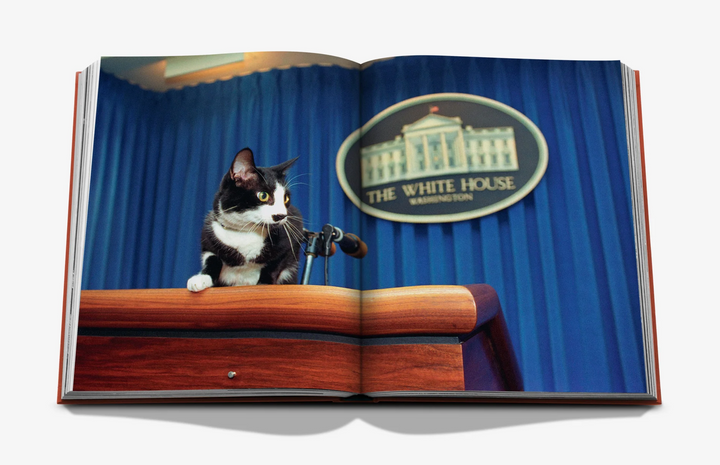 BOOK "CHIC CATS"