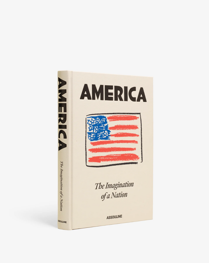 BOOK "AMERICA: THE IMAGINATION OF A NATION"