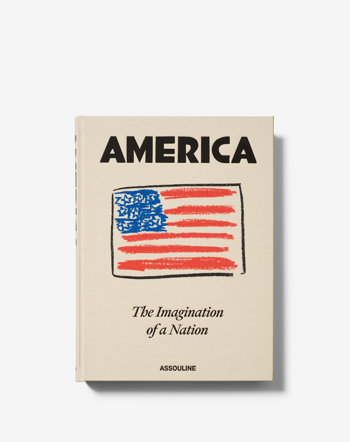 BOOK "AMERICA: THE IMAGINATION OF A NATION"