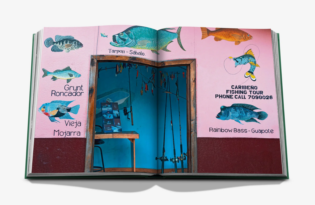 BOOK "COSTA RICA VIDA"