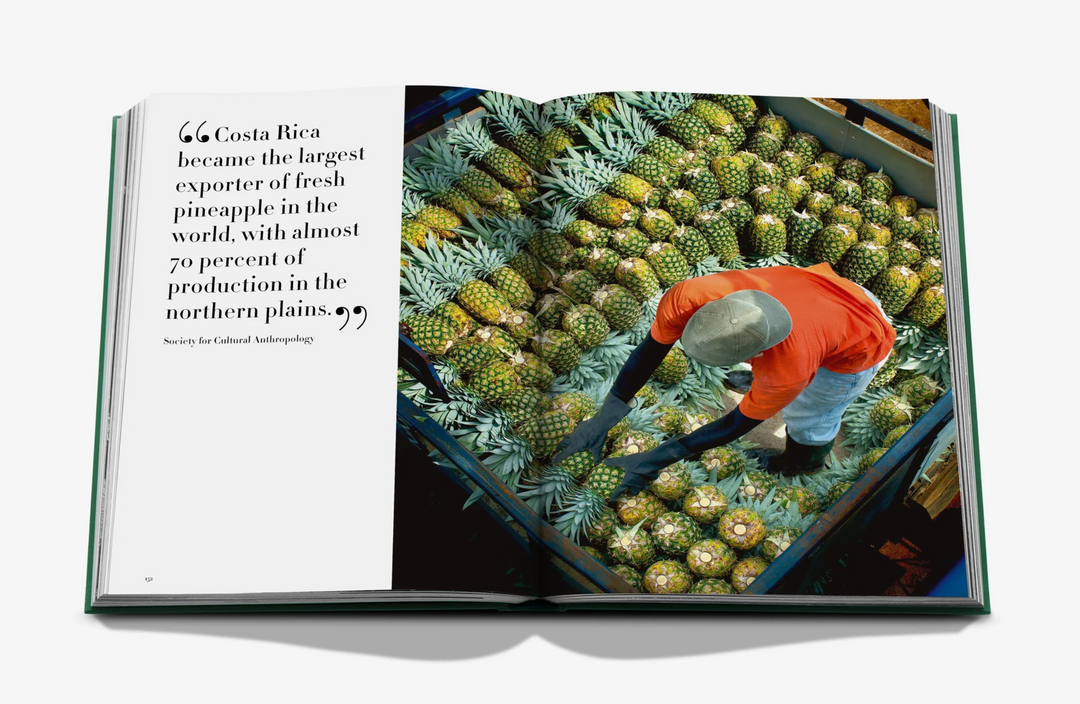 BOOK "COSTA RICA VIDA"
