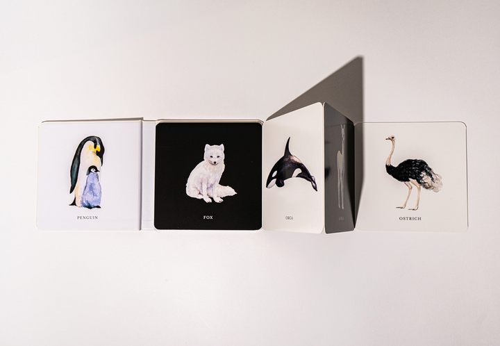 BABY BOOK CONTRAST "BLACK & WHITE"