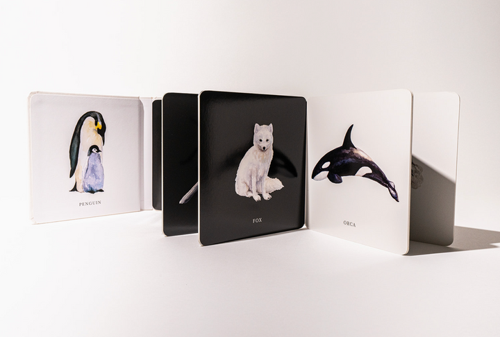 BABY BOOK CONTRAST "BLACK & WHITE"