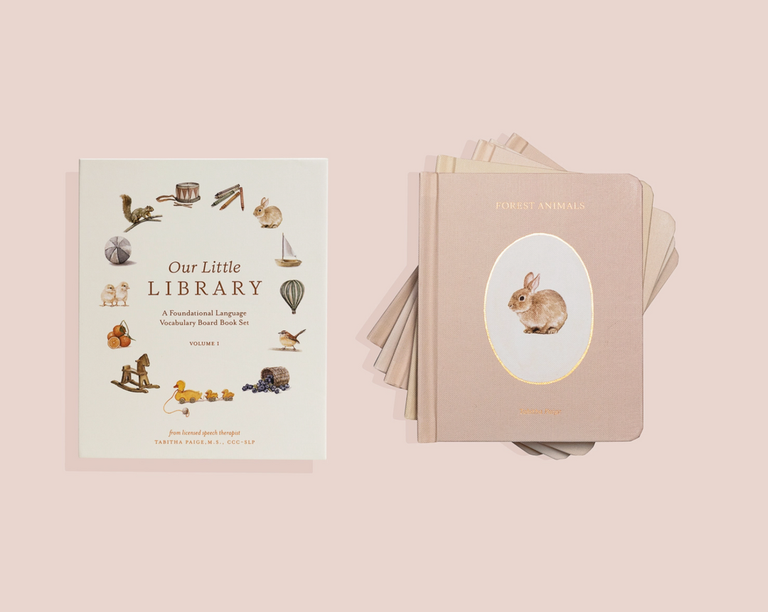 BOARD BOOK "LITTLE LIBRARY VOL.1 " SET/5