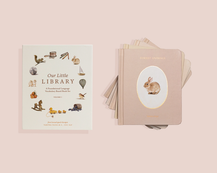 BOARD BOOK "LITTLE LIBRARY VOL.1 " SET/5