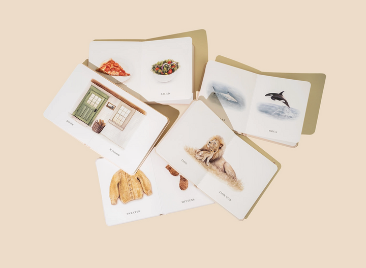 BOARD BOOK "LITTLE LIBRARY VOL. 2 " SET/5