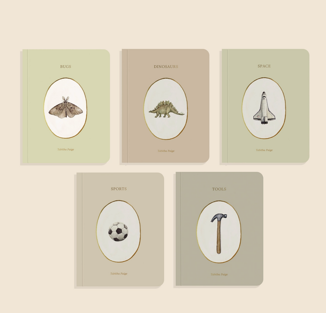 BOARD BOOK "LITTLE LIBRARY VOL. 3 " SET/5